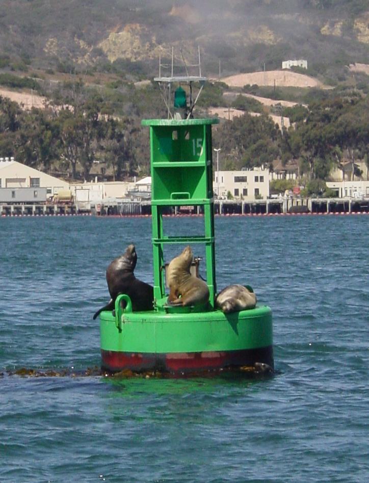 0.about:timeline:2007:boje:bouy-green-seals-c.jpg
