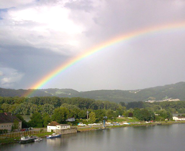 ele-under-rainbow.jpg